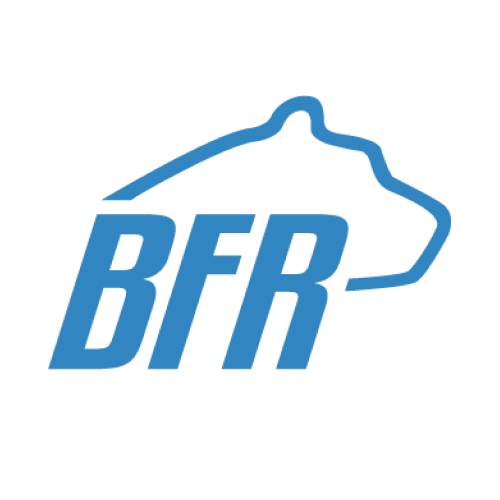 Bruin Racing - Formula logo